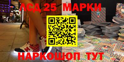 гидра Заводоуковск