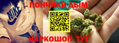 гидра Заводоуковск