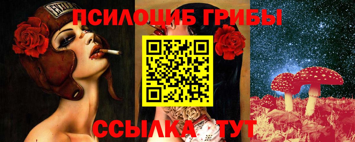 Мирный  Псилоцибиновые грибы GOLDEN TEACHER  Вход с VPN 