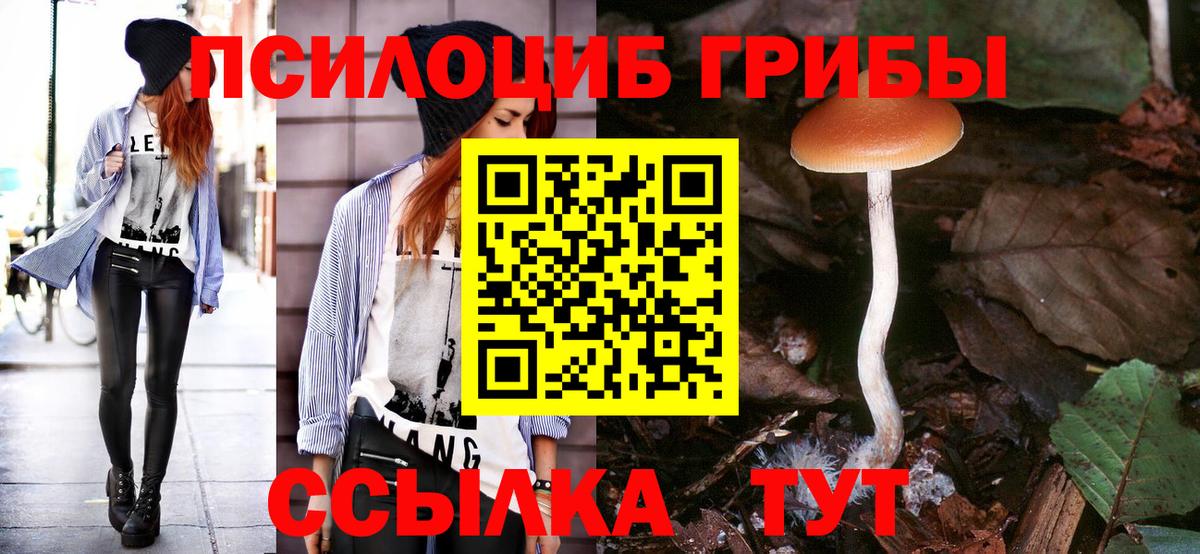 Галлюциногенные грибы Psilocybine cubensis Мирный